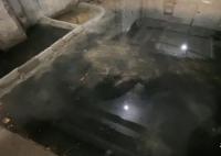 上海一饭店偷倒垃圾后砌墙致整楼恶臭 垃圾山高1米6左右