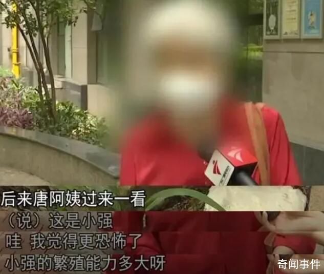 女子小区内放生五盒蟑螂被制止 目前整个小区已全面消杀三次