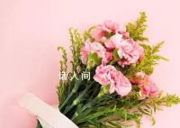母亲节送妈妈花被回复来点实惠的