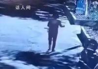 女子疑在小区内撒药致多条狗死亡 引发了当地居民的担忧和恐慌