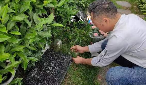 杭州坠亡女童父亲:她居然不用坐牢