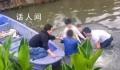 车辆坠河众人义无反顾跳河救人 网友点赞