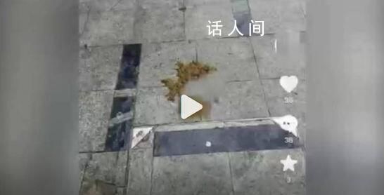 安徽滁州一小区内有人高空抛下粪便 抛物位置在监控死角