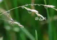 小满小满 小得盈满