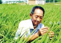 袁隆平逝世两周年 一稻济世万家粮足
