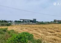 投2亿建的地铁站成“孤岛” 引发了人们对于这种民生工程投资浪费和民众不满的原因的关注
