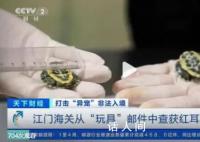 这些非法入境“异宠”隐患多 一盒玩具中夹藏活体龟2只