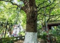 外婆给慈善组织捐了1000万 匿名捐赠深藏功与名只愿物尽其用