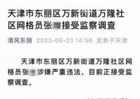 天津一社区网格员被查 引发普遍关注