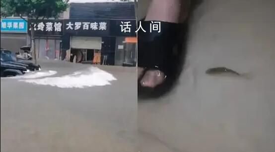 武汉一高校宿舍进水有鱼游进屋内 每年下大雨湖水上涨都会这样