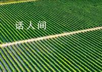 一路奔赴 百县同行