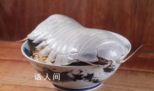 台湾推出大王具足虫拉面 食客：这个拉面很好吃