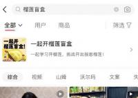 是谁推高了榴莲价格 榴莲盲盒背后的市场逻辑