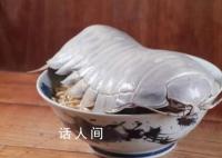 台湾推出大王具足虫拉面 食客：这个拉面很好吃