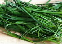 农残标准上调25倍 还能放心吃韭菜吗