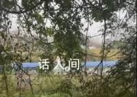 小伙被骗缅北3年警方指导逃脱 当地诈骗团伙发布40万悬赏令