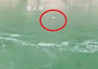 2教师疑为迎接领导捡鹅卵石溺亡 遇水电站放水被卷走溺亡