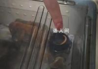 大学生网购零食放虫子敲诈40多次 零食企业多次遭恶意索赔