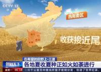 一组数字看中国丰收“速度” 冬小麦的收获正如火如荼