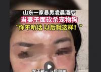 网传男子砍杀柯基威胁妻子 妇联回应
