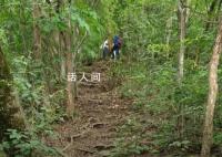 驴友爬山遭雷击:直挺倒下全身麻木