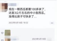 18元一斤?消费者大呼西瓜贵了