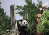 丫丫笑成了表情包 眼里有光