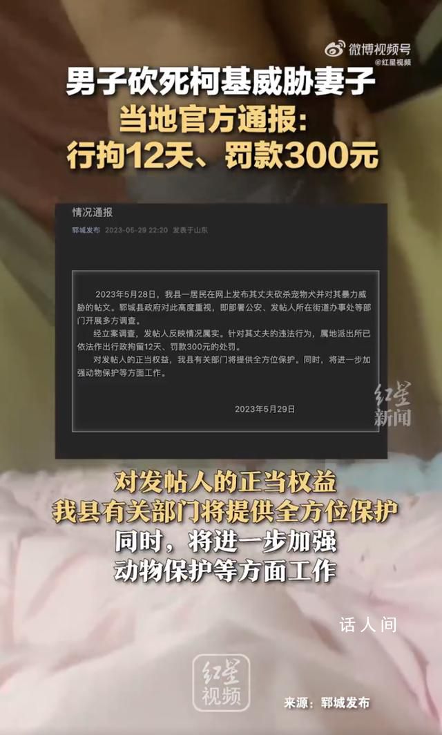 柯基被砍女子称已申请安全保护令 对方说坐牢也不愿离婚想买个狗补偿