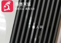 女子称提离职被经理殴打 引起广泛关注