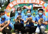 重庆五胞胎虎宝宝首次与游客见面 已经满月