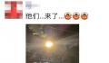 上海白蚁来袭 一夜之前白蚁全出来了