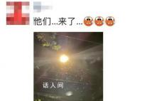 上海白蚁来袭 一夜之前白蚁全出来了