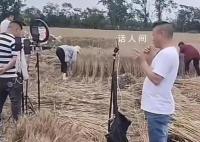 网红扎堆到麦地直播割麦 有网红声称收割机进不来
