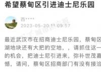 迪士尼乐园落户武汉?官方:正洽谈