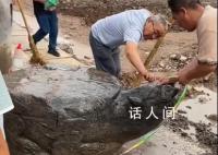 村庄修路挖出大石龟?官方通报