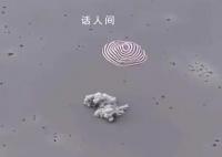 神十五返回舱着陆瞬间 欢迎费俊龙邓清明张陆回家