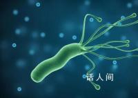 国内幽门螺杆菌人群感染率近50% 如何预防幽门螺杆菌感染?