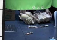 米线门店回应员工脚踩鸡肉解冻 已对新员工作出惩罚