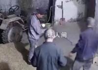 老父亲半夜去田里收麦忙到天亮 很心酸觉得自己没用