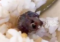 涉事学校曾因老鼠事件被联合执法 南昌市场监管局已经介入