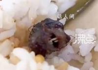 高校饭菜吃出老鼠头?市监局:鸭脖