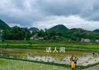 芒种忙什么 芒种要干什么农事活动