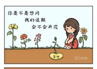 给1291万高考生的手绘 等待和梦想见面吧