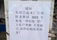 面粉厂不收今年新小麦?当地回应