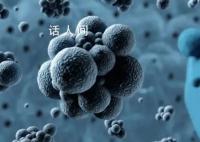 北京发现两例猴痘病例 两名病例均是通过亲密接触感染
