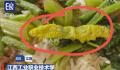 鼠头鸭脖涉事高校学生称吃出大青虫 