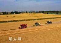 全国“三夏”麦收进度过半 进度53.8%