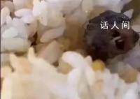 学生:鼠头鸭脖涉事窗口仍营业