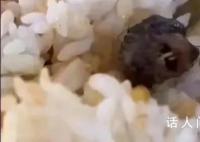 鼠头受害股出现 绝味鸭脖股价下跌