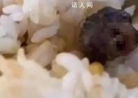 到底是鼠是鸭不应该这么难查 陷入罗生门
